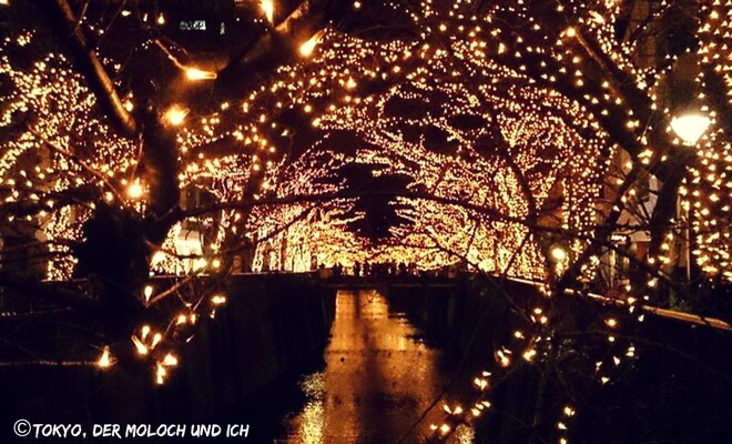 Weihnachtliche Beleuchtung am Fluß Meguro in Tokyo