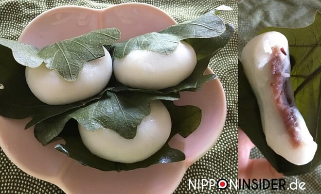 Bild zu Kashiwamochi • 柏餅 am Kodomo no Hi, Kindertag in Japan wird Mochi-Reiskuchen gegessen. Nipponinsider Japanblog