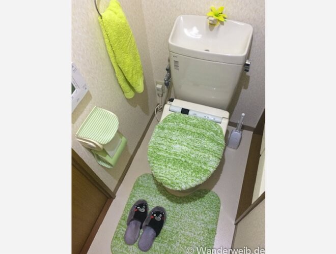 Warum ich Japan liebe - Tessa erzählt in einem Gastartikel. Foto: japanische High-Tech Toilette | Wanderweib auf Nipponinsider