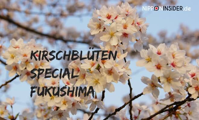 Kirschblüten in Japan Special. Sakura in Japan | Nipponinsider Japanblog