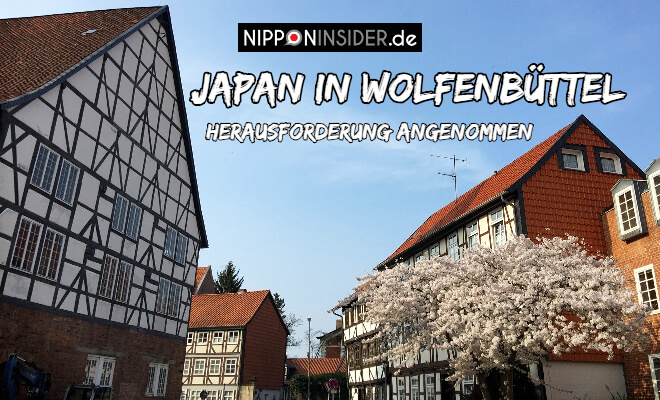 Japan in Wolfenbüttel - Herausforderung angenommen. Kirschblüten mit Fachwerkhäusern in der Altstadt von Wolfenbüttel | Nipponinsider Japanblog