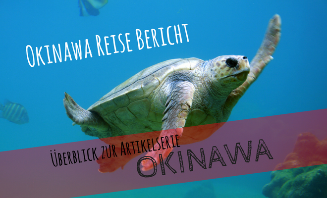 Okinawa Reisebereicht. Überblick über die Artikelserie. Bild von einer Meeresschildkröte | Nipponinsider