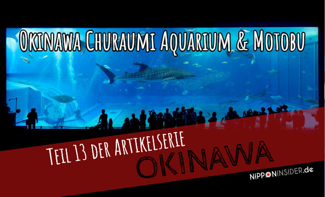 Okinwawa Reisebericht: teil 13 der Artikelserie. Okinawa Churaumi Aquarium & Motobu | Foto vom Hauptbecken im Aquarium | Nipponinsider